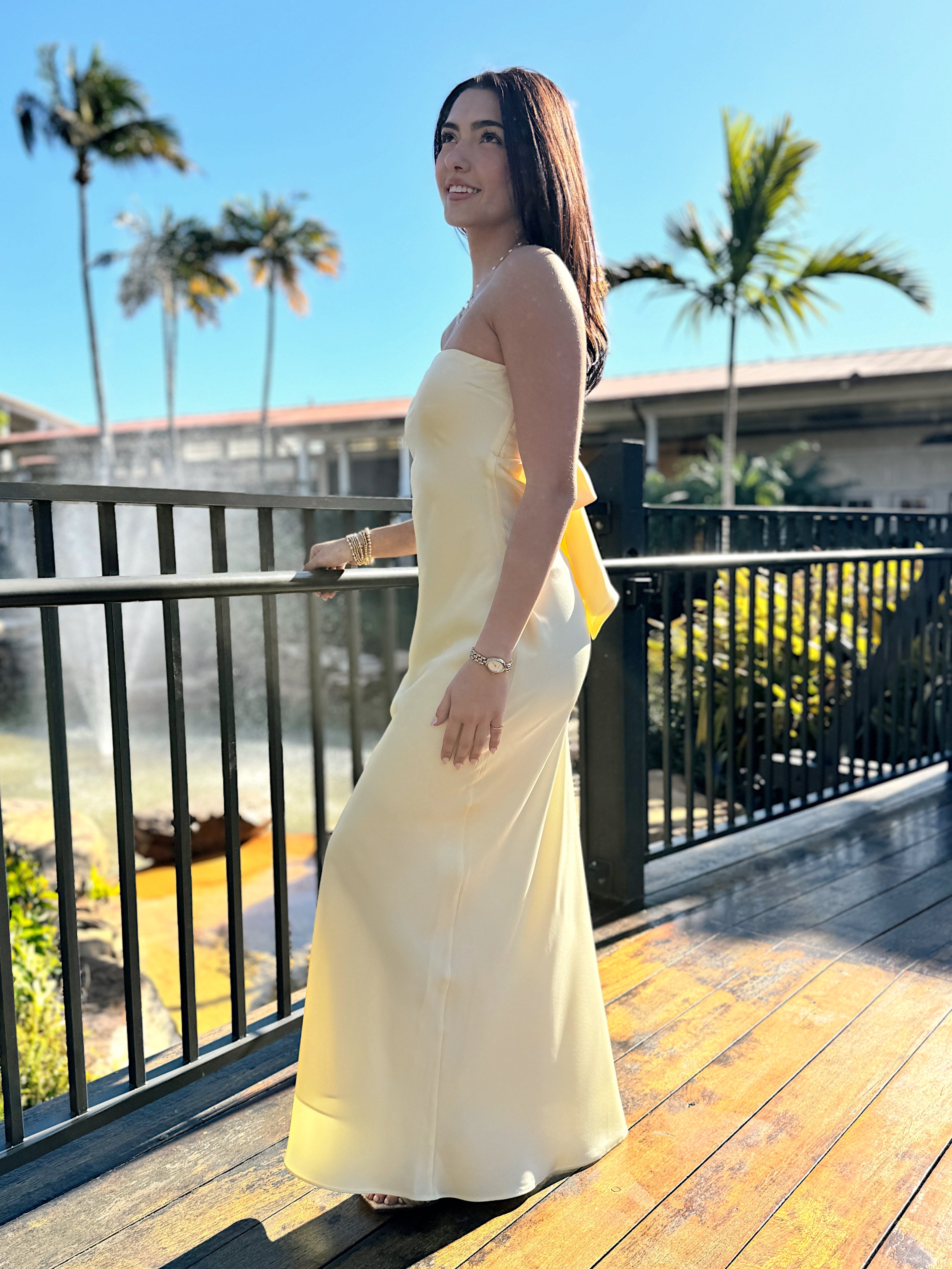 Regatta Maxi Dress